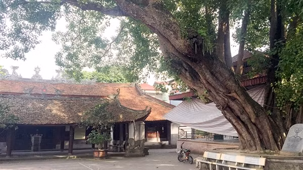 Làng Phù Lưu - Nét độc đáo miền quan họ
