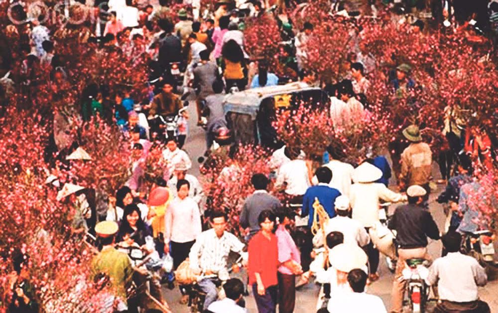 16ff09fa-cfe9-4f57-a222-aa73a611bf0a.jpg -0