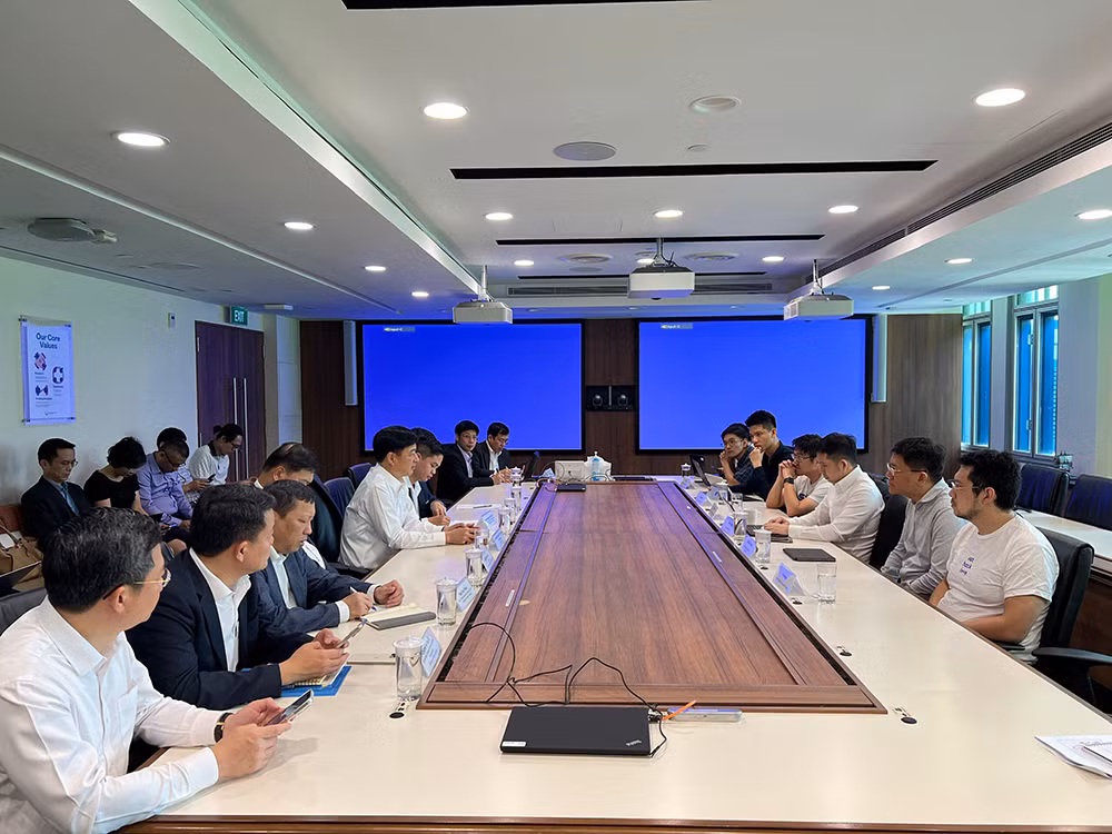 Tăng cường hợp tác trong lĩnh vực chuyển đổi số với Singapore -0