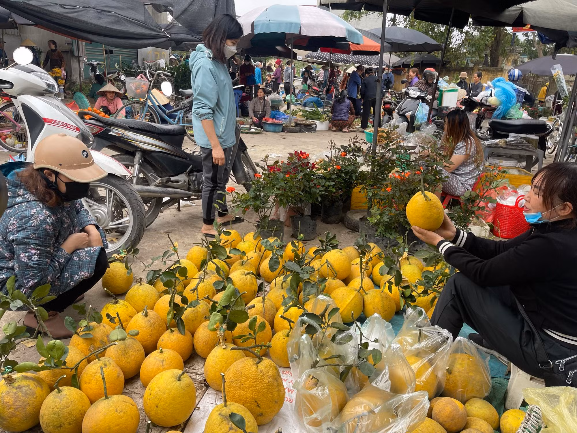 Chợ Tết: Người bán “ngóng” người mua -0
