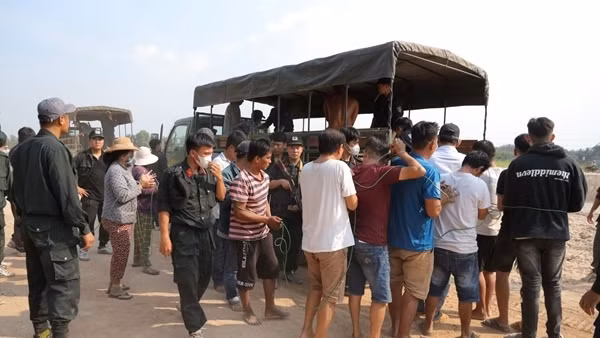 Phá trường gà di động ở các vườn cao su, mãng cầu