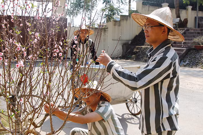 Đường về nẻo thiện không còn xa -0
