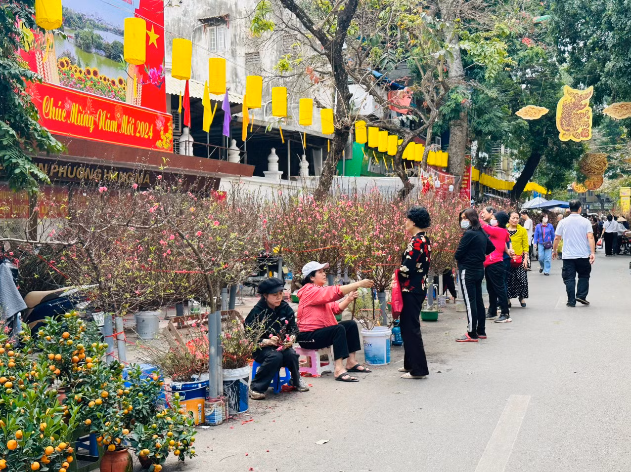 Chợ hoa Hàng Lược rực rỡ sắc màu cuối năm -0