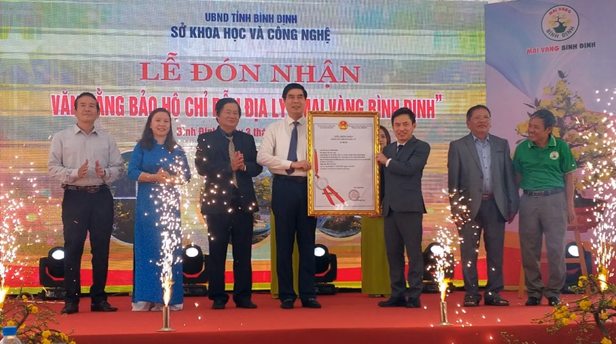 Mai vàng Bình Định được cấp chứng nhận bảo hộ chỉ dẫn địa lý -0