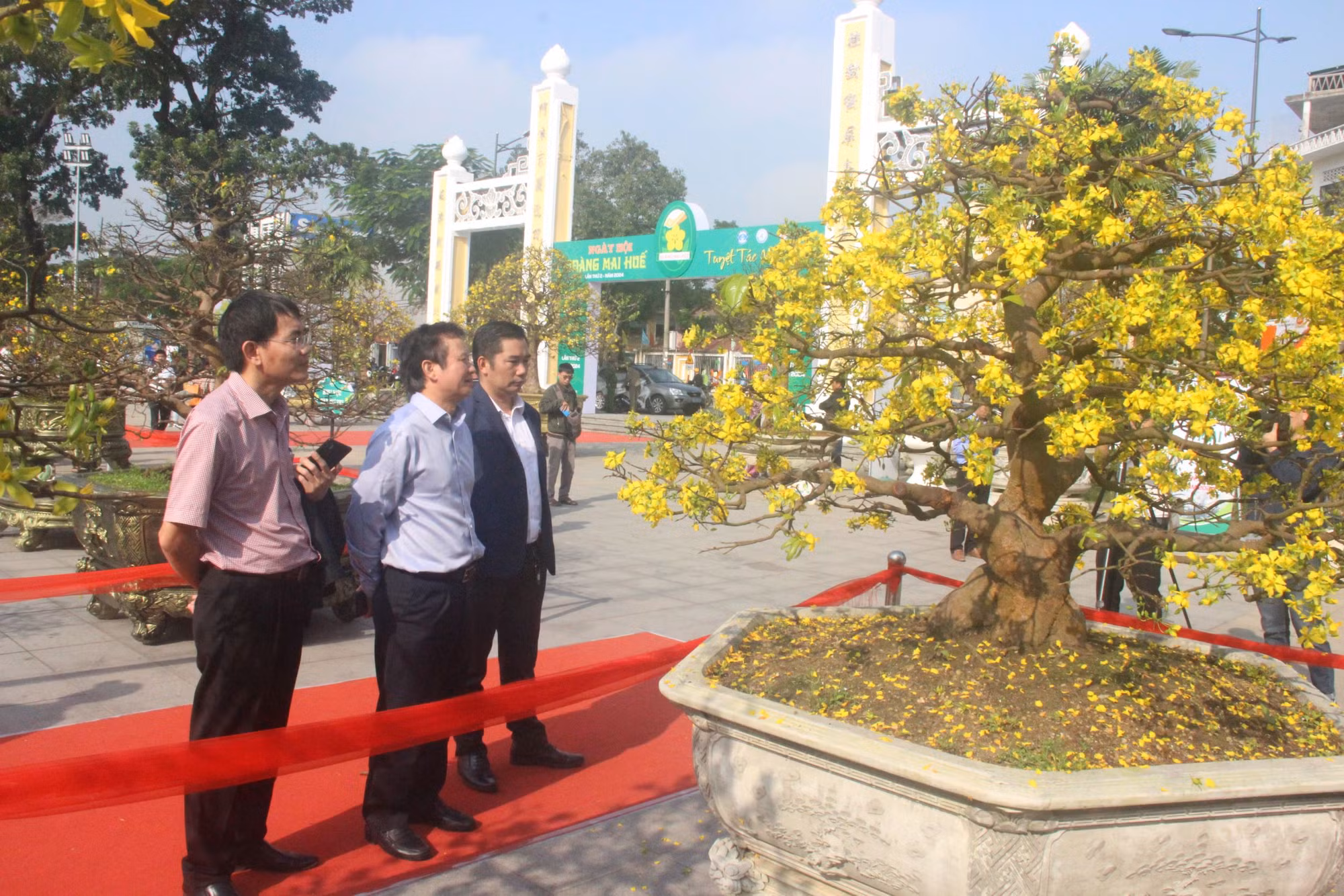 Chiêm ngưỡng tuyệt phẩm Hoàng mai của nghệ nhân xứ Huế -0