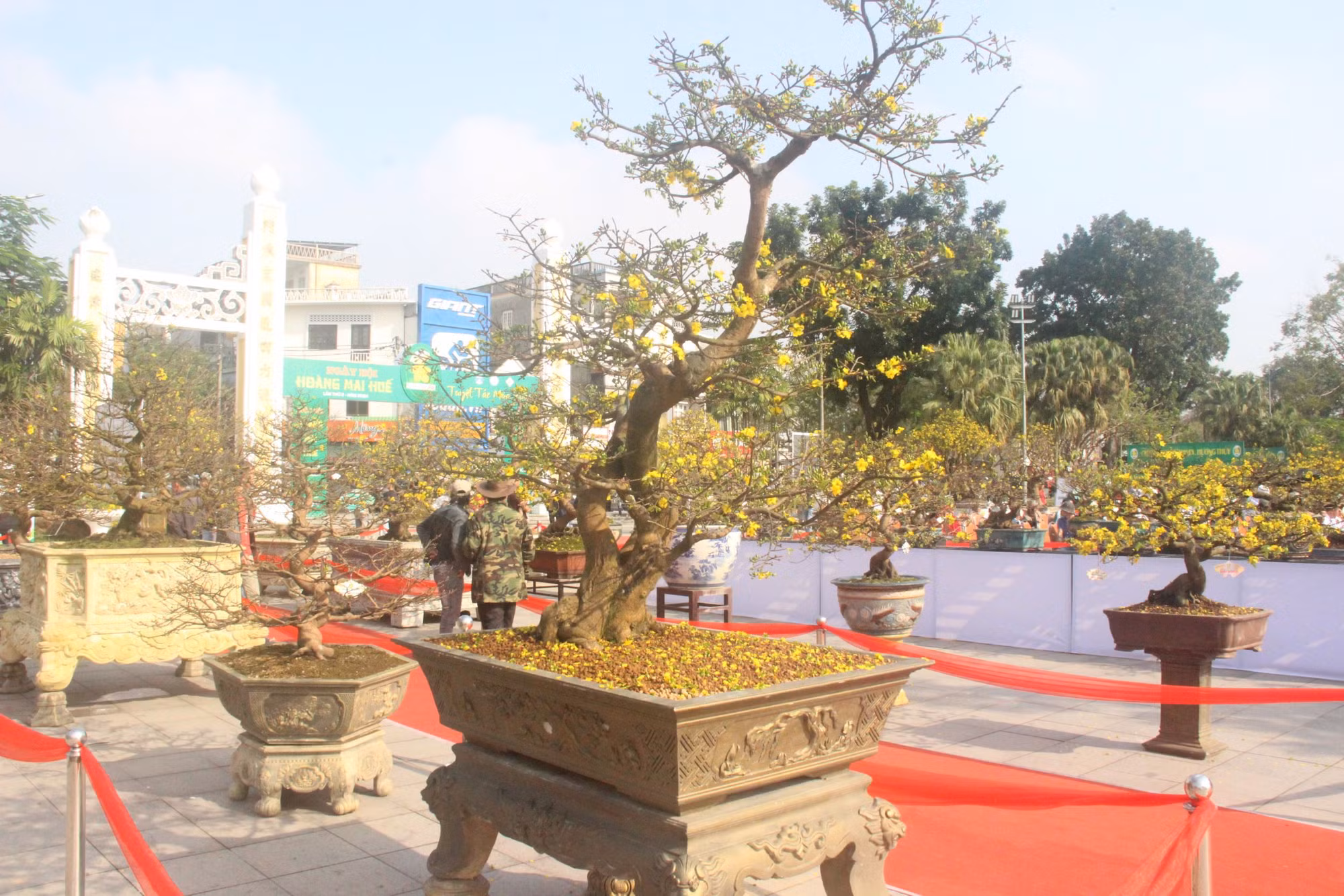 Chiêm ngưỡng tuyệt phẩm Hoàng mai của nghệ nhân xứ Huế -0