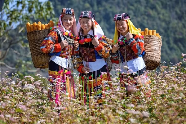 Hà Giang được vinh danh điểm đến văn hóa khu vực hàng đầu châu Á -0