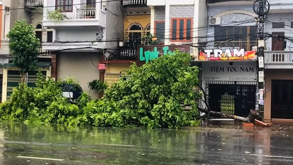 Khẩn trương cấp điện trở lại khi bão đi qua