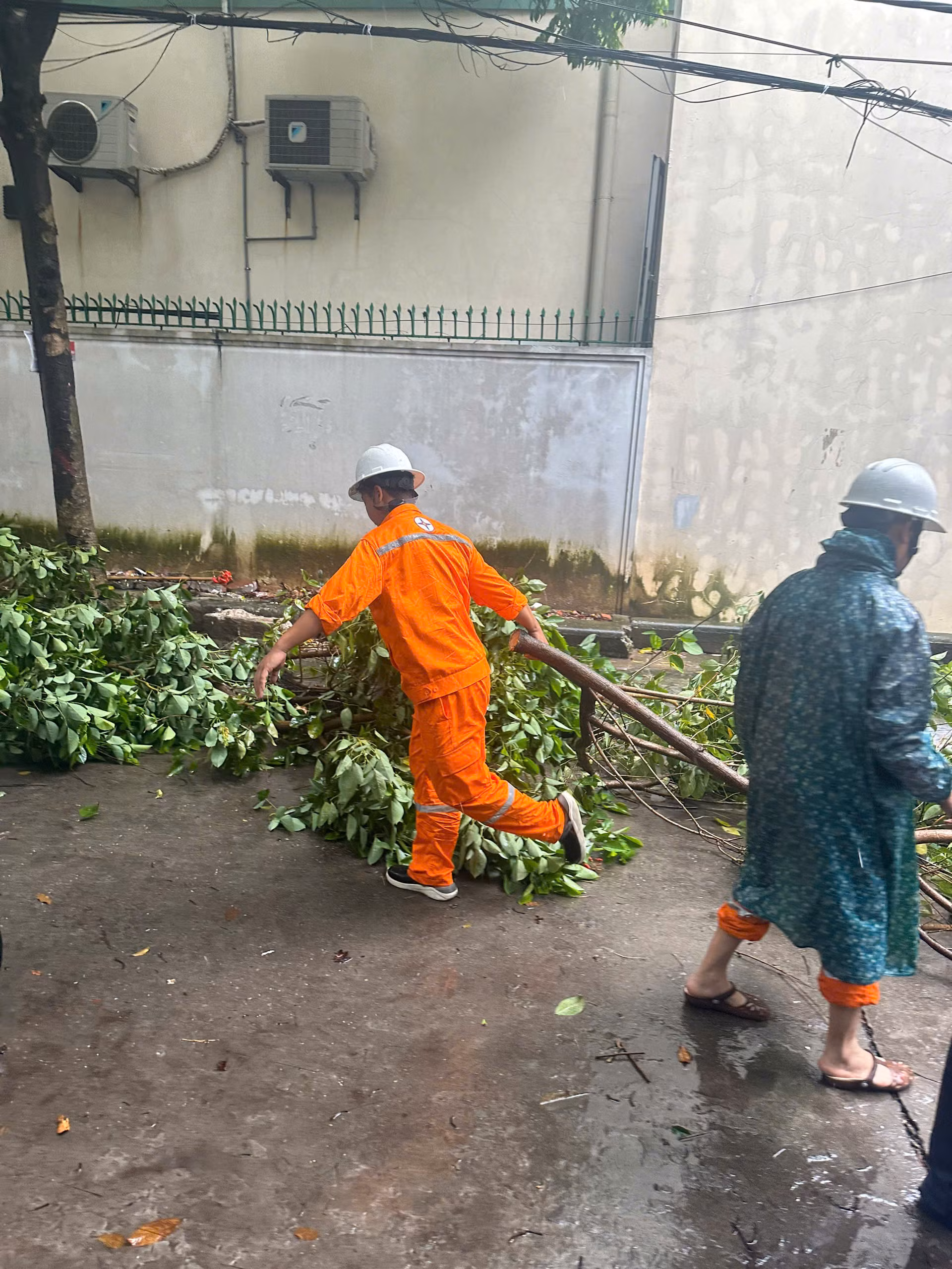 Cây đổ, nhiều khu vực tại Hà Nội mất điện -6