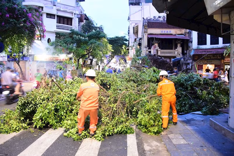 EVNHANOI phòng chống bão trên tinh thần 4 tại chỗ -0