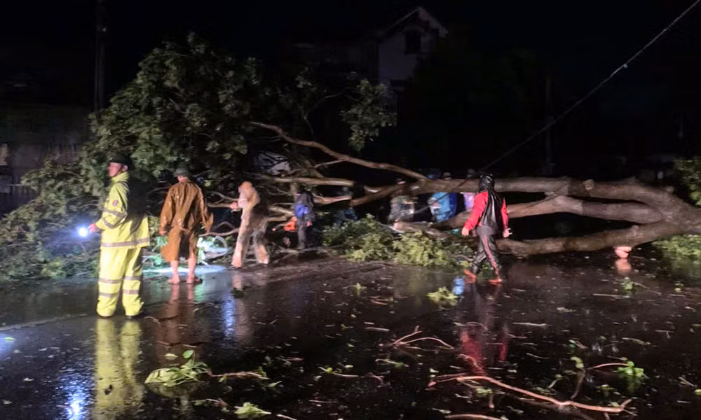 Bắc Giang: 6 người bị thương, thiệt hại nhiều nhà cửa và hoa màu do bão số 3 -0