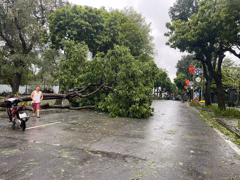 Hà Nội sau bão, cây cổ thụ đổ chắn ngang nhiều tuyến phố -7