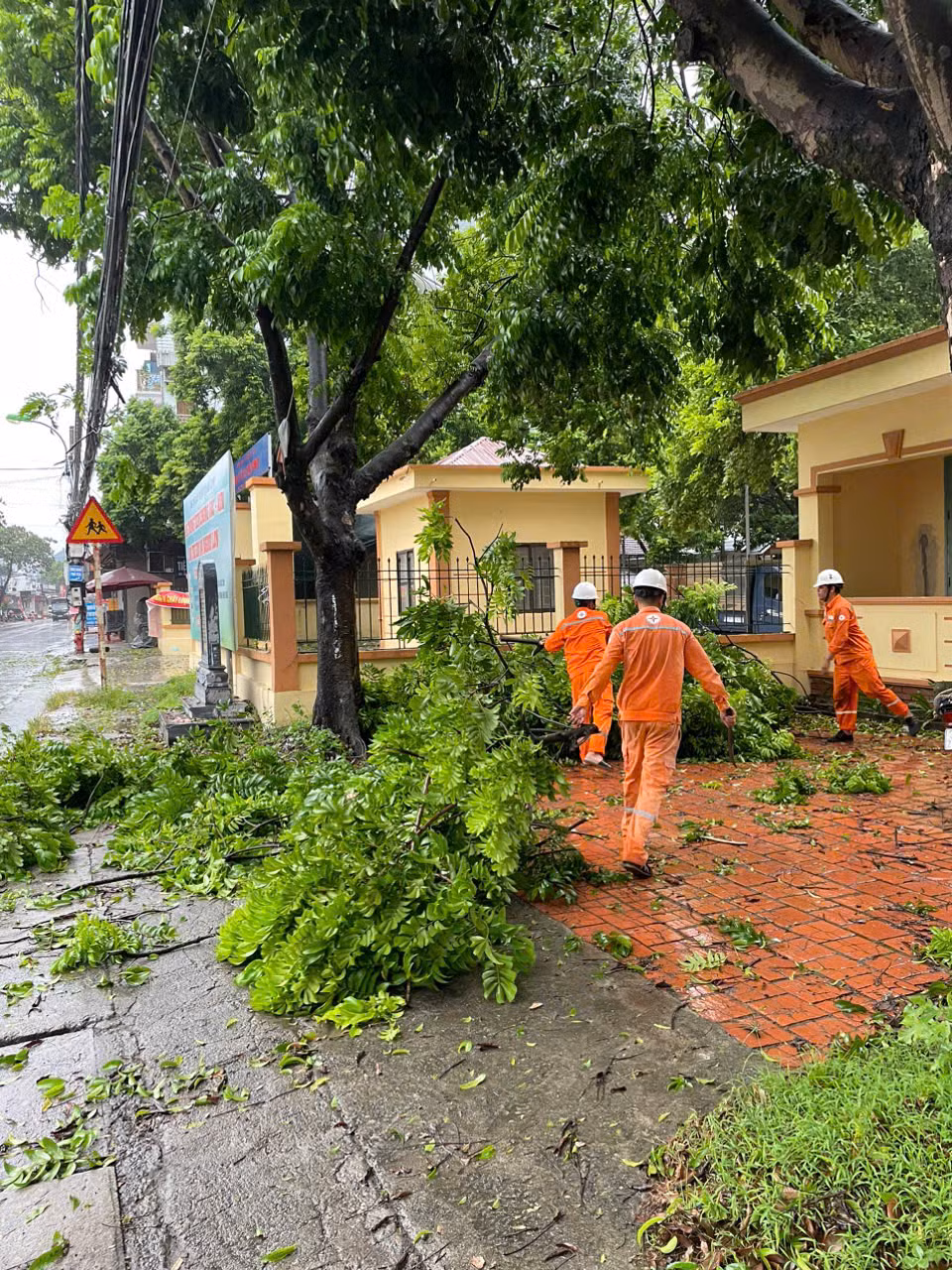 Cây đổ, nhiều khu vực tại Hà Nội mất điện -1