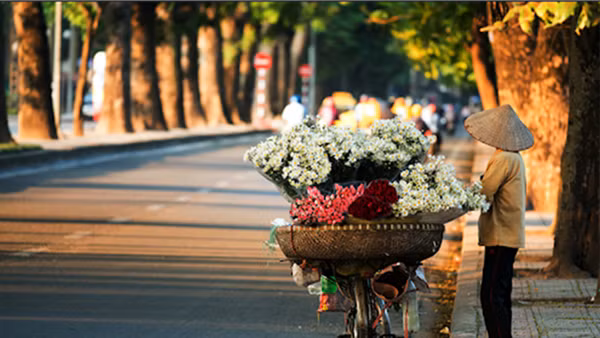 Miền Bắc chiều tối mưa rào và dông, Nam Bộ mưa to