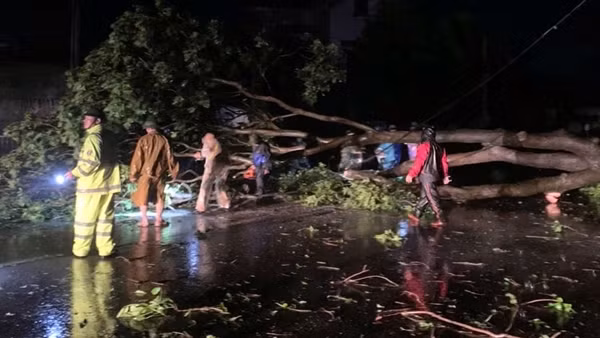 Bắc Giang: 6 người bị thương, thiệt hại nhiều nhà cửa và hoa màu do bão số 3