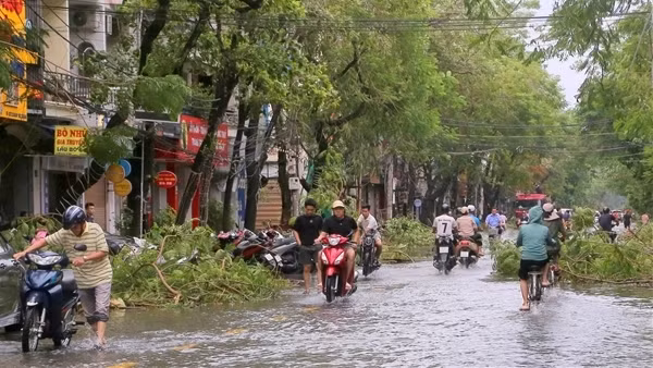 Hải Phòng thiệt hại nặng nề sau bão Yagi