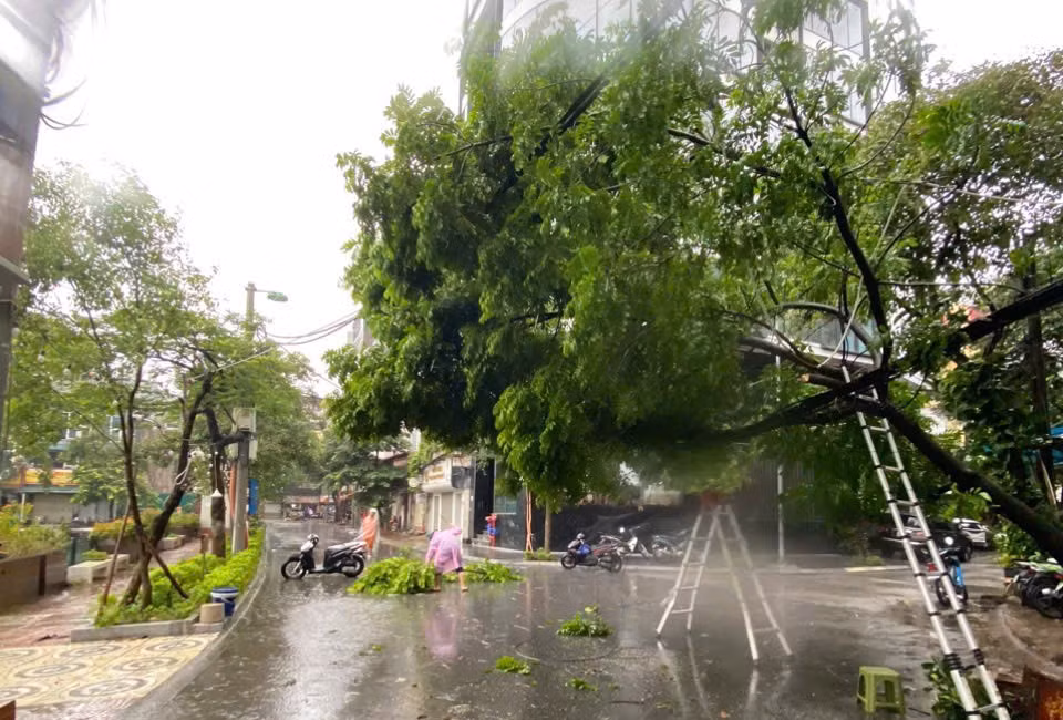 Cây đổ, nhiều khu vực tại Hà Nội mất điện -0