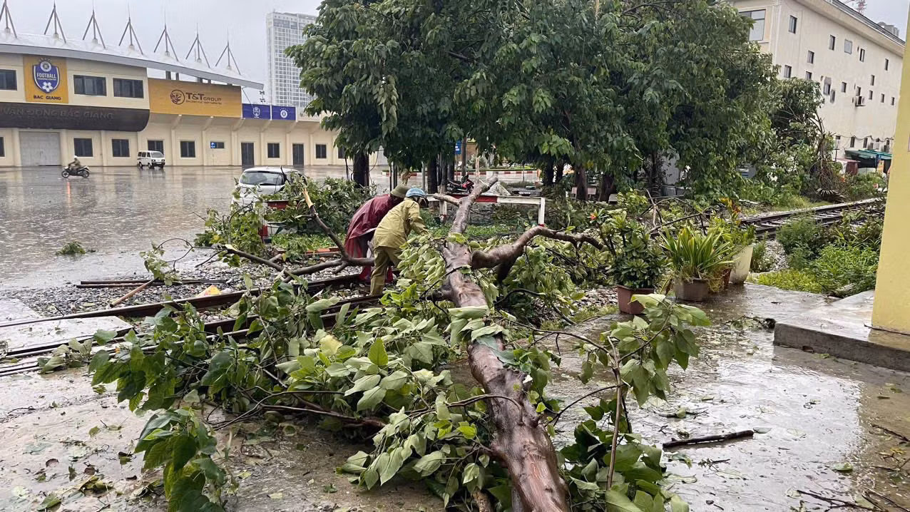 Bão vào đất liền, nhiều cây đổ chắn ngang đường sắt, dừng 22 chuyến tàu khách -0
