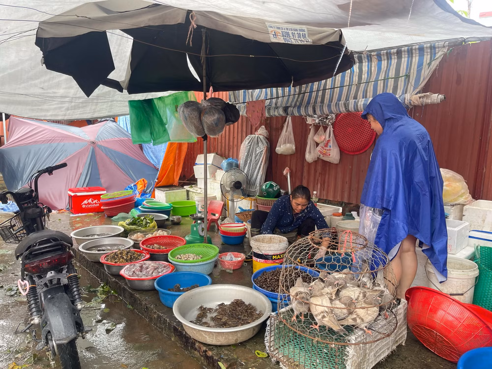 Sáng 8-9: Giá rau xanh đắt gấp đôi ngày thường, cung ứng hàng hóa thiết yếu có nơi bị ảnh hưởng -0