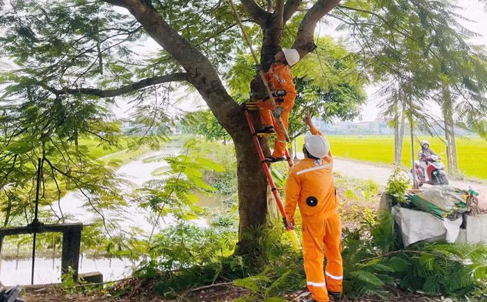 EVNNPC sẵn sàng các phương án phòng chống bão Yagi -0