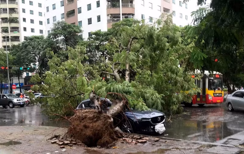 Những việc cần làm ngay để hưởng quyền lợi bảo hiểm sau bão -0