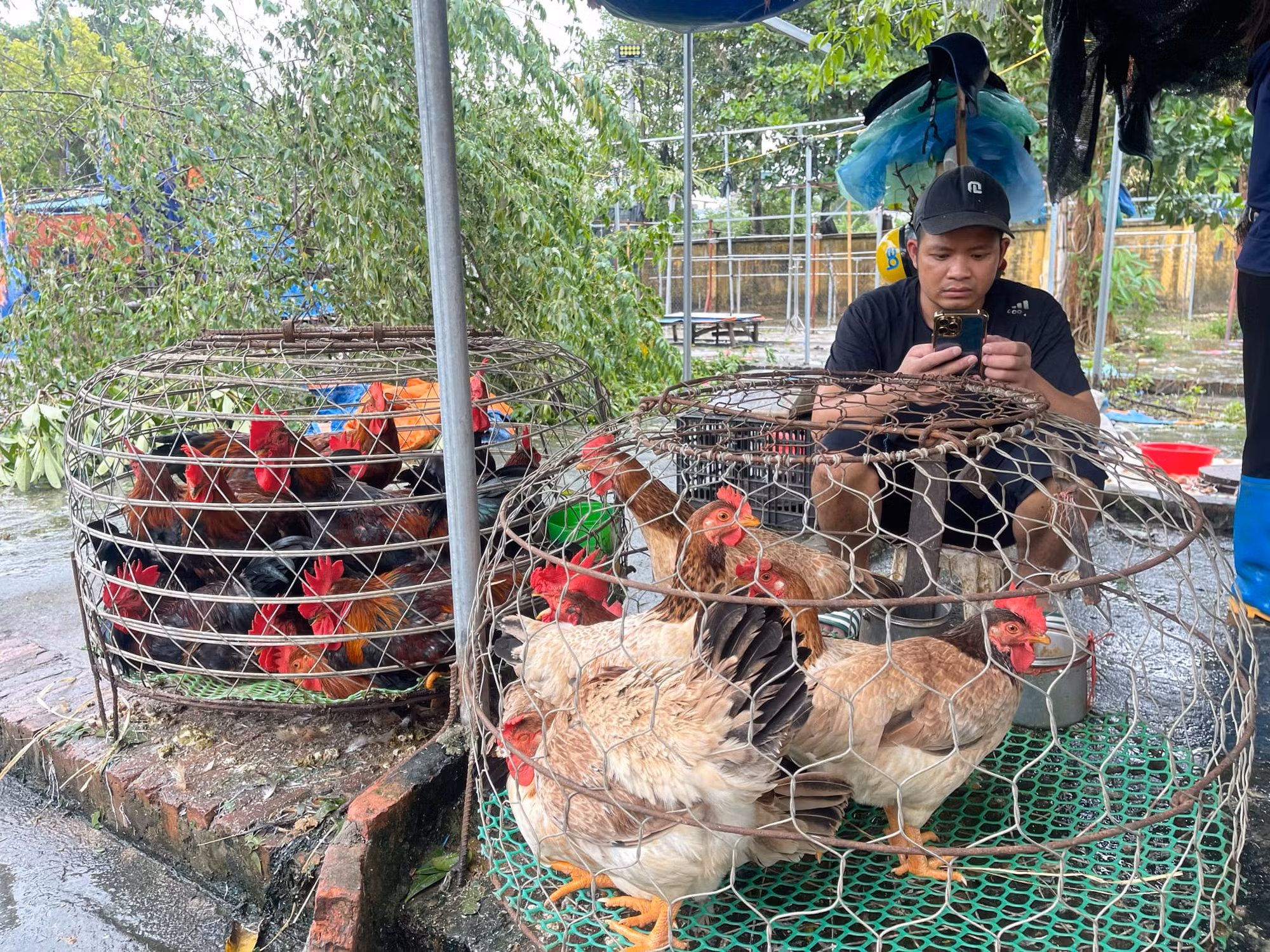 Sáng 8-9: Giá rau xanh đắt gấp đôi ngày thường, cung ứng hàng hóa thiết yếu có nơi bị ảnh hưởng -0