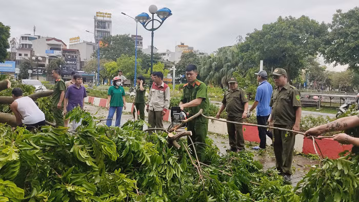 TP Hải Dương, TP Chí Linh ra quân triển khai khắc phục sự cố, dọn dẹp vệ sinh ở các trường học, cơ quan… -3
