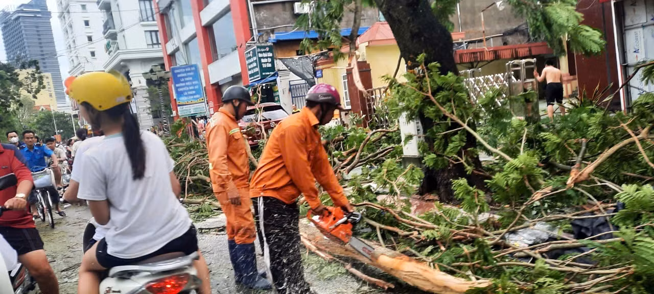 Hải Phòng hoang tàn sau bão -0