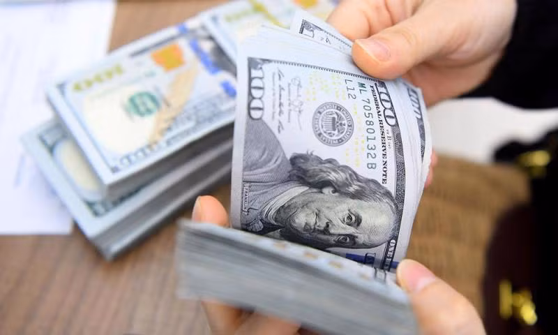 Sự biến động của “đồng bạc xanh” -0