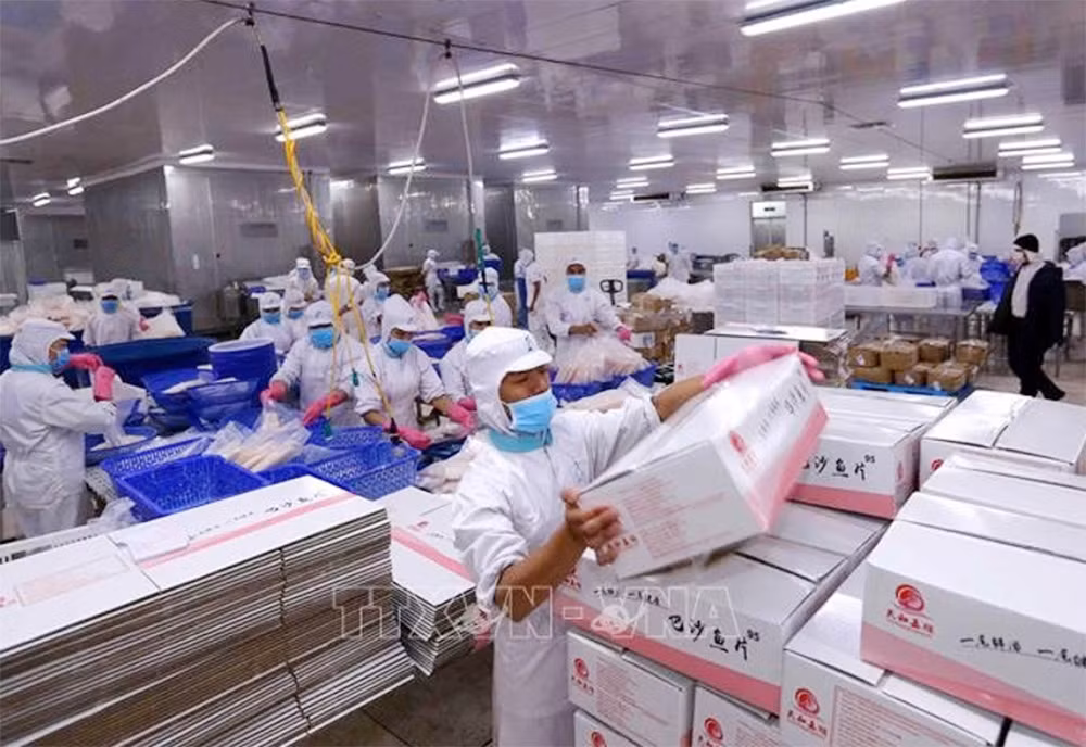 Lách khe hẹp xuất khẩu thủy sản tiếp tục mở cửa thị trường -0