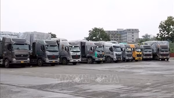 Sẽ giải phóng nhanh nhất phương tiện tồn tại các cửa khẩu Lạng Sơn ảnh 3