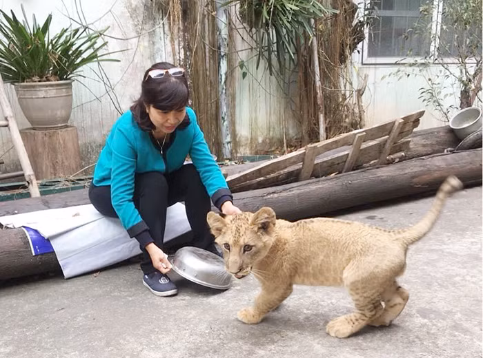 Bí mật nghề chăm sóc 