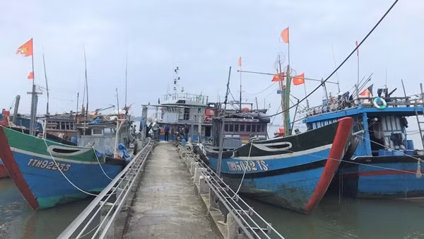 Ngư dân Đà Nẵng tất bật vươn khơi, đón lộc biển đầu năm mới ảnh 5