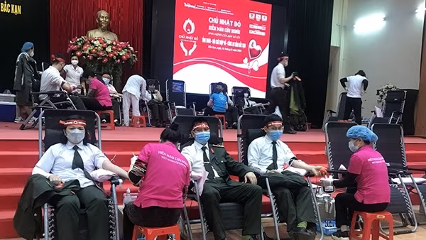 Hiến tiểu cầu cứu người - Những tấm lòng nhân ái vì cộng đồng ảnh 3