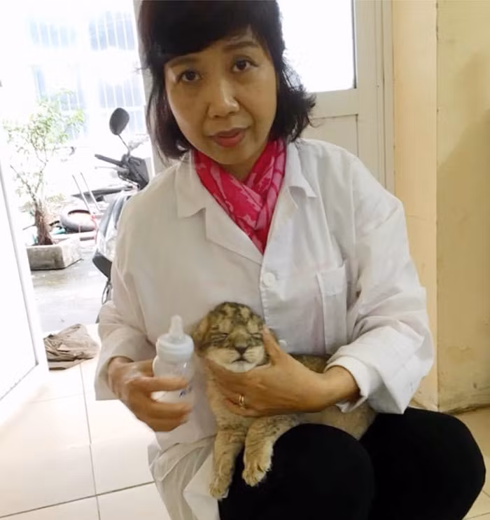 Bí mật nghề chăm sóc 