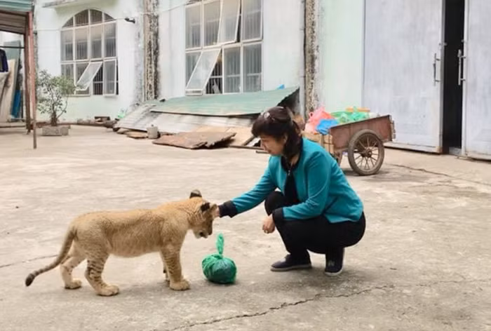 Bí mật nghề chăm sóc 
