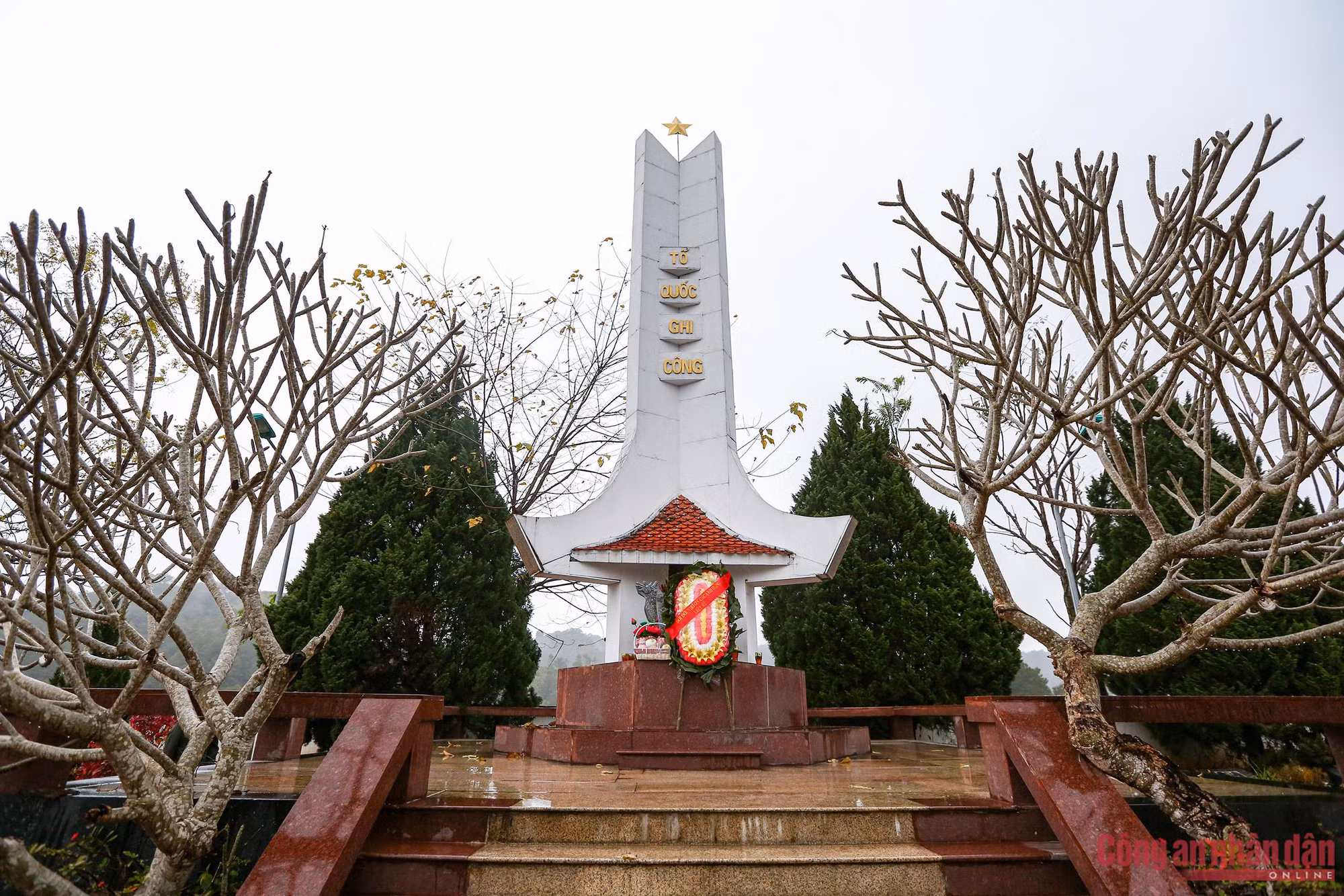 b3.jpg - 0
