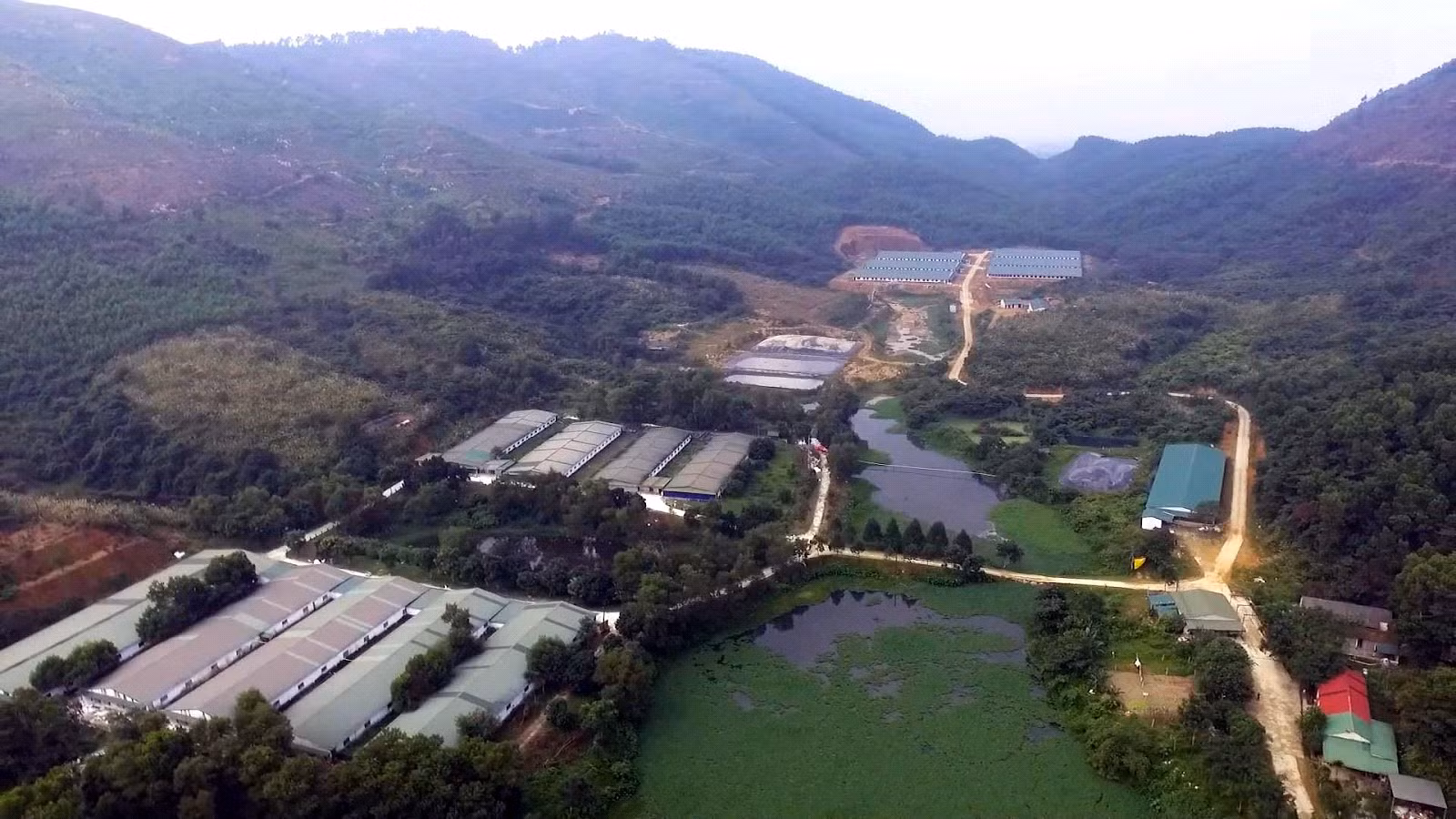 Nhiều trang trại chăn nuôi ở Hà Tĩnh gây ô nhiễm nghiêm trọng -0