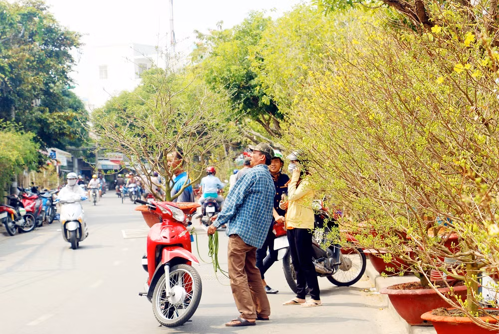 Thay “áo mới” cho những làng hoa kiểng miệt châu thổ Cửu Long (TET) -0