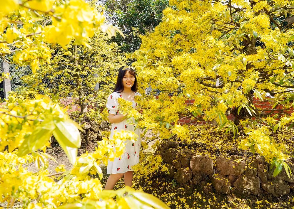 Thay “áo mới” cho những làng hoa kiểng miệt châu thổ Cửu Long (TET) -0