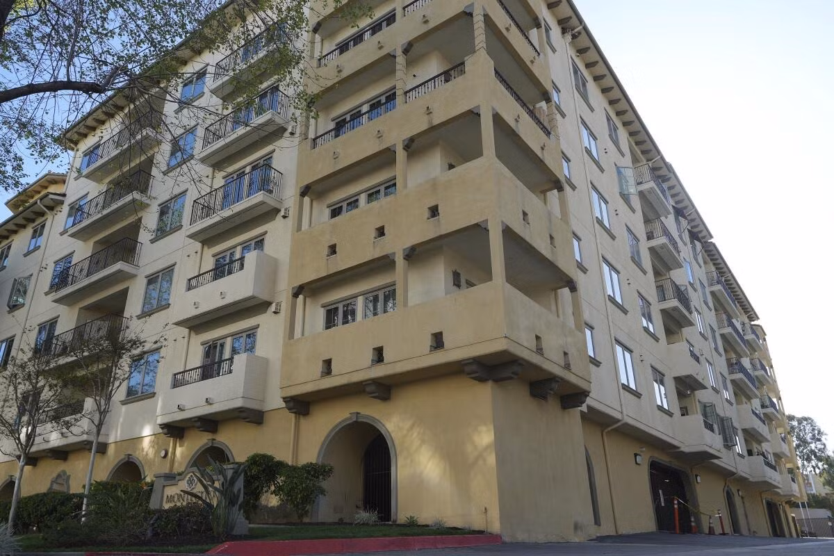 Nhà chiêm tinh học ném con khỏi xe ô tô đang chạy vì sợ tận thế -0