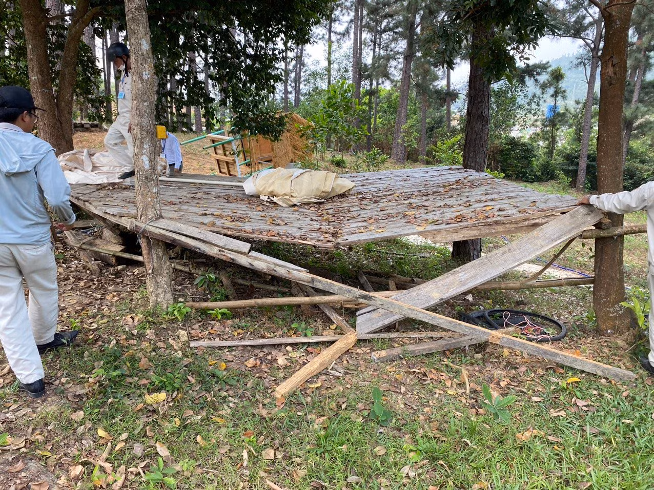 Tháo dỡ công trình phục vụ du lịch trái phép trên đất rừng giao khoán tại Nam Hải Vân -0