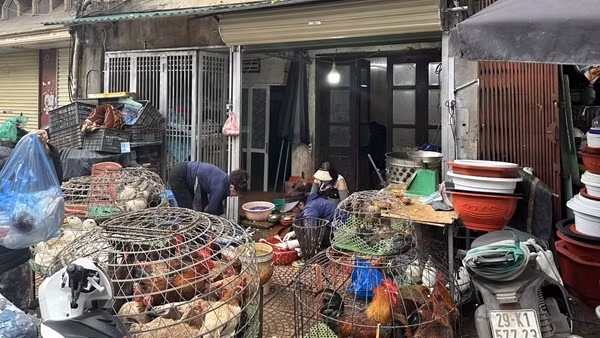 Kinh doanh, giết mổ gia cầm trái phép phớt lờ dịch bệnh