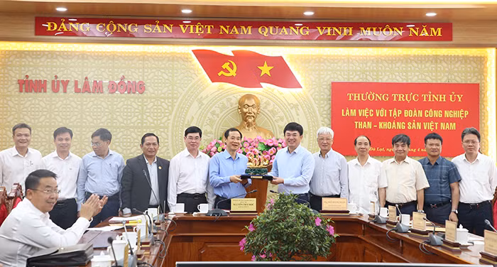 TKV tiếp tục đầu tư phát triển các dự án bauxit - alumin – nhôm tại Lâm Đồng -0