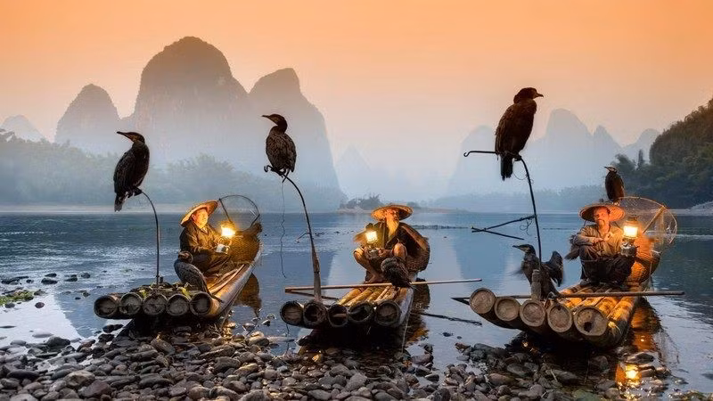 Tản mạn từ hình chim cốc trên trống Ngọc Lũ -0