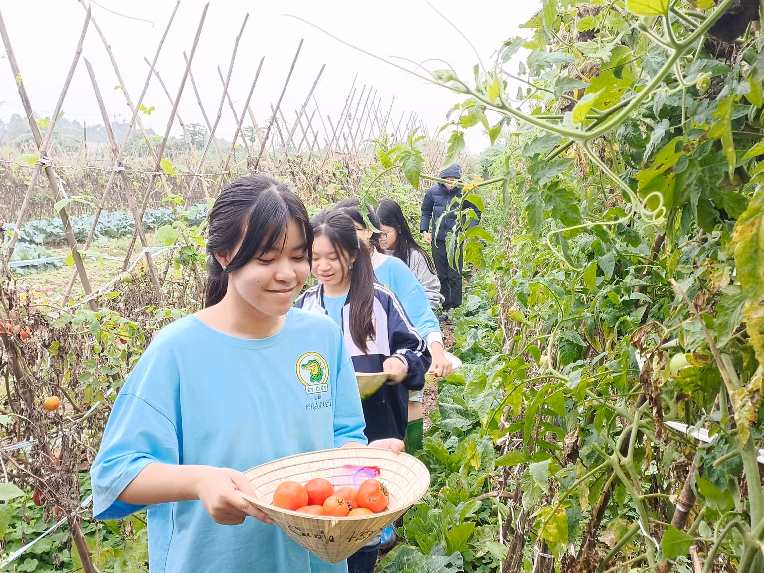 Du lịch chuyển đổi xanh để phát triển bền vững -0