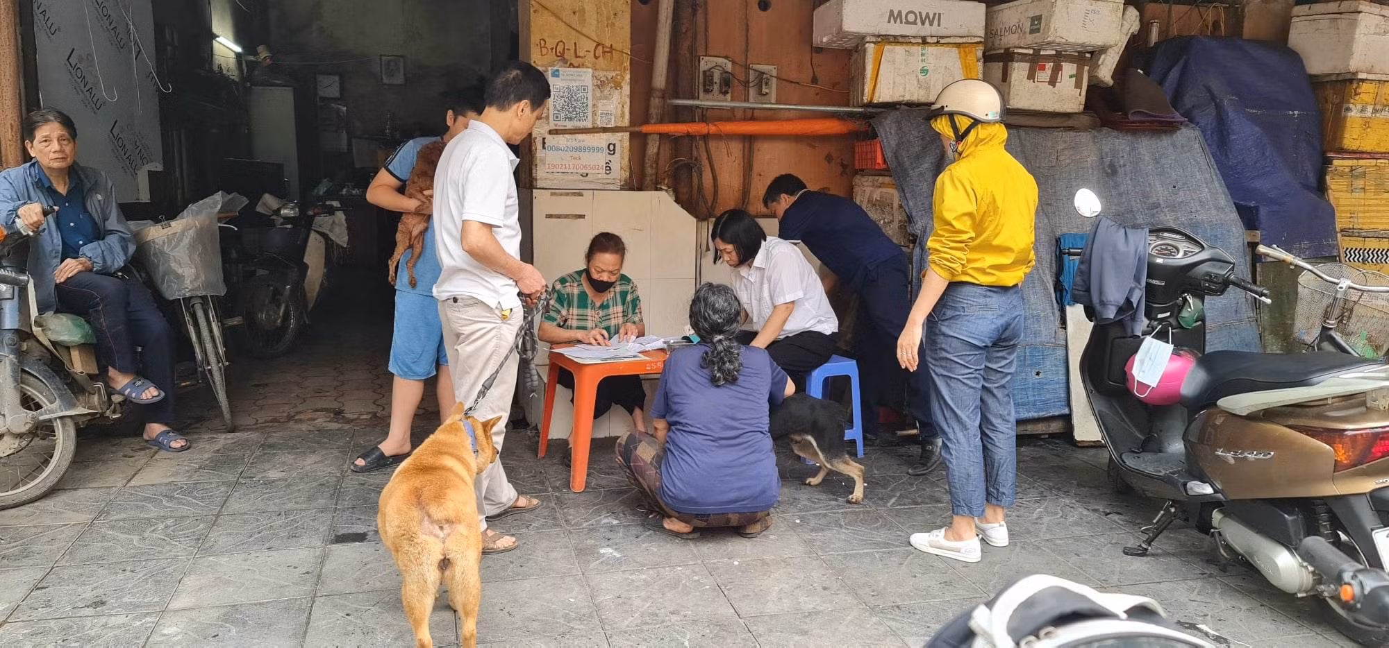 Chó dại cắn 3 người ở Sóc Sơn, Hà Nội -0