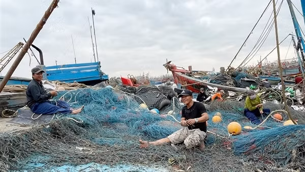 Kiên quyết xử lý tàu cá "3 không" để cùng gỡ thẻ vàng khai thác thuỷ sản