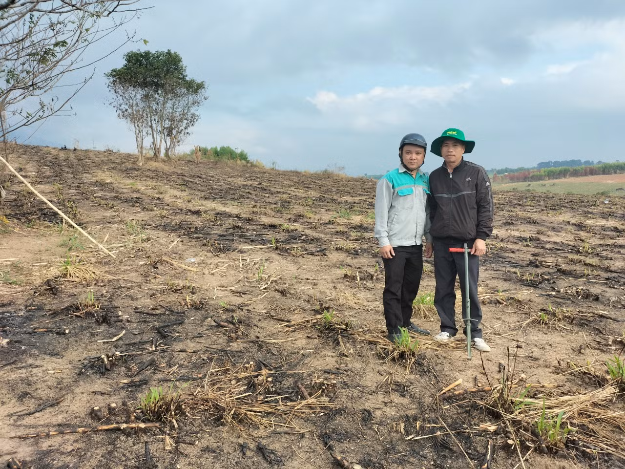 NPK Phú Mỹ gắn kết 