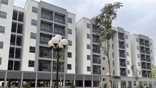 hud_me_linh-1722301682719.jpg